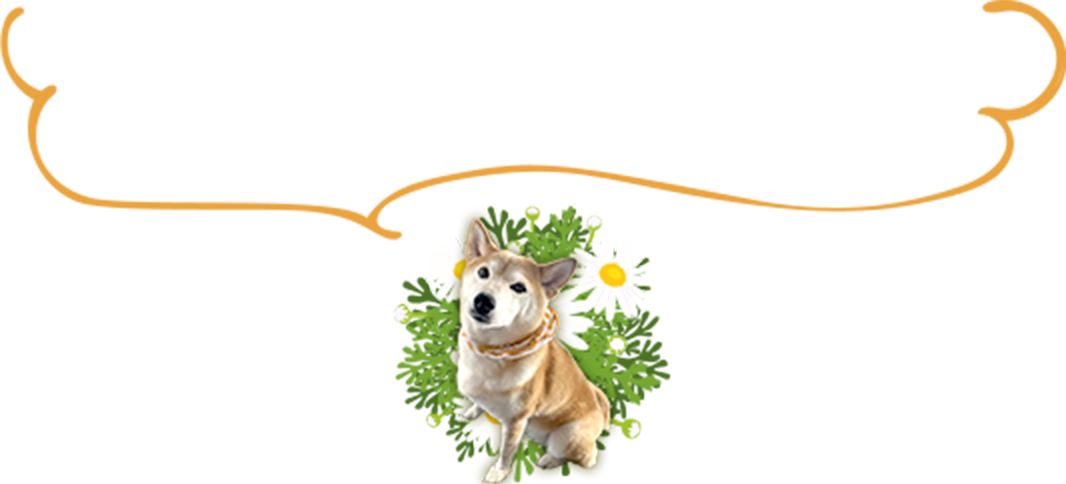 insc_deco_dog.