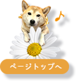 TOPへ
